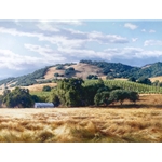 California Wine Country by artist June Carey