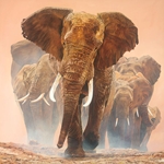 Big Daddy - bull elephant protecting the herd by African wildlife artist Guy Combes
