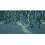 Deep Winter - Wolves by Robert Bateman