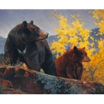 The Cinnamon Bear by wildlife artist Nancy Glazier