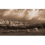 On the Utah Plains by Robert Dawson