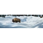 Breaking the Trail - bison in winter by artist Stephen Lyman