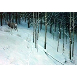 Forest Trail Mule Deer by Robert Bateman