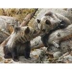 Alaska Chat - grizzly bear cubs by Carl Brenders