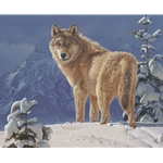 ~ Cold Stare - Wolf in snow by wildlife artist Daniel Smith