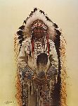Shoshone Chief by James Bama
