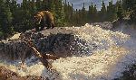 The Cascades - Grizzly bear at waterfall by wildlife artist Greg Beecham
