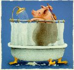 Hogwash - Pig in the shower by comedic artist Will Bullas