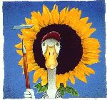 how does your garden grow? - Duck and sunflower by comedic artist Will Bullas