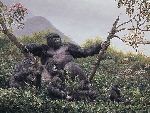 The Guardian - Mountain Gorilla family by wildlife artist Simon Combes