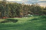 The 11th Hole "White Dogwood" Augusta National Golf Club by Linda Hartough