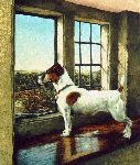 I Spy Summer - Jack Russell Terrier by artist Jessica Holm