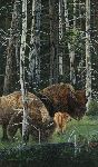 The Survivors - Bison with young by Judy Larson