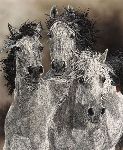 The Defiant - horses by Judy Larson