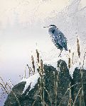 Morning Solitude - Great Blue Heron by Stephen Lyman
