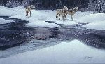 The Intruder - wolves by Stephen Lyman