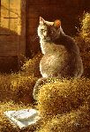 Big Gray's Barn and Bistro - barn cat by artist Bonnie Marris