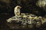 The Fishing Lesson - Wolf with young by wildlife artist Bonnie Marris