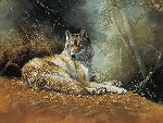 Kenai Dusk - Wolf by wildlife artist Bonnie Marris