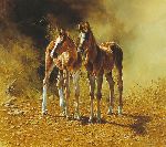Best Friends - two foals by artist Bonnie Marris