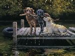 Dog Days - Labrador Retrievers by artist Bonnie Marris
