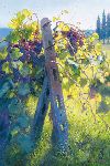 Imported Vines by June Carey