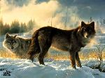 Hearts Afire - Wolves by wildlife artist Nancy Glazier