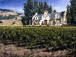 Chimney Rock Winery - Napa Valley California by artist George Hallmark