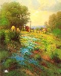 Hill Country Spring by G. Harvey