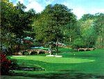 The 11th at Augusta by Larry Dyke