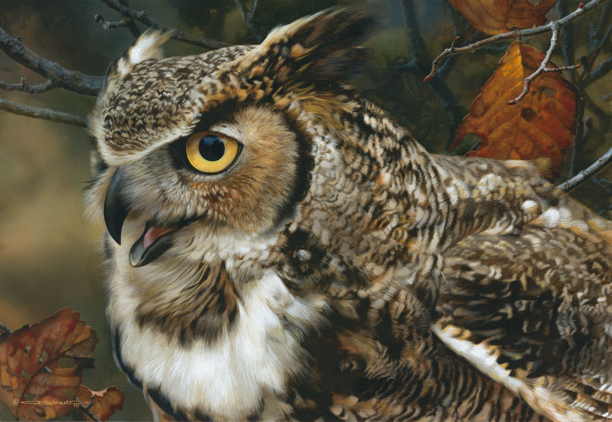 In Focus great horned owl portrait by wildlife artist
