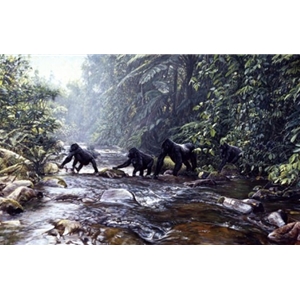 Fleeing Rwanda - mountain gorillas by John Banovich