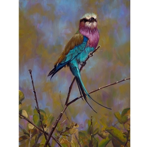 High Roller - Lilac Breasted Roller by John Banovich