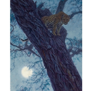 Hunter by the Moon - leopard in Acacia tree by John Banovich