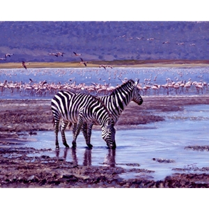 Jewel of the Crater - Zebras and flamingos by John Banovich
