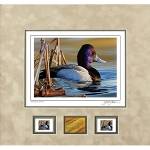 2021 Federal Duck Stamp MEDALLION EDITION - Lesser Scaup by Richard Clifton