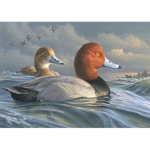 2022 Federal Duck Stamp - PRINT ONLY - Pair of Redheads by James Hautman