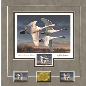 2023 Federal Duck Stamp PRESIDENT's EDITION - Three Tundra Swans by Joseph Hautman