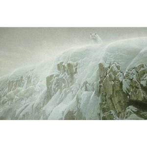 Arctic Cliff - White Wolves by Robert Bateman