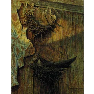 Chimney Swift on Nest by Robert Bateman