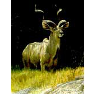 Kudu - Sappi Portfolio by Robert Bateman