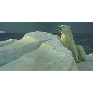 Long Light - Polar Bear by Robert Bateman