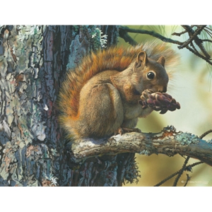 Picnic Perch - Red Squirrel by wildlife artist Carl Brenders