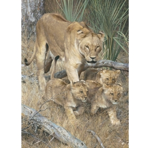 On a Journey - Lion with cubs by wildlife artist Carl Brenders