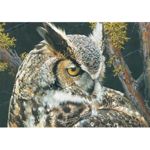 Eye of the Beholder - Great Horned Owl by wildlife portrait artist Carl Brenders