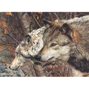 by Carl Brenders Wolves Poster 22x28 WOLF ART PRINT Tundra Summit detail