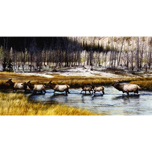 Autumn Procession - Elk Herd by wildlife artist Carl Brenders
