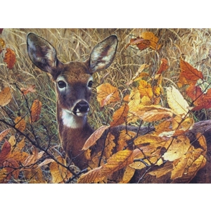 Autumn Lady - White-tailed Doe by wildlife portrait artist Carl Brenders