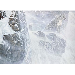 Robert Bateman Out of the White \u2013 Snow Leopard Collectible Print Limited Edition Signed & Numbered art Nepal Mysterious Mammal Rare To See