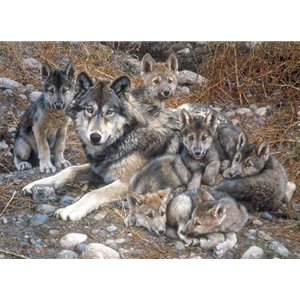 Den Mother - Wolf Family by wildlife artist Carl Brenders
